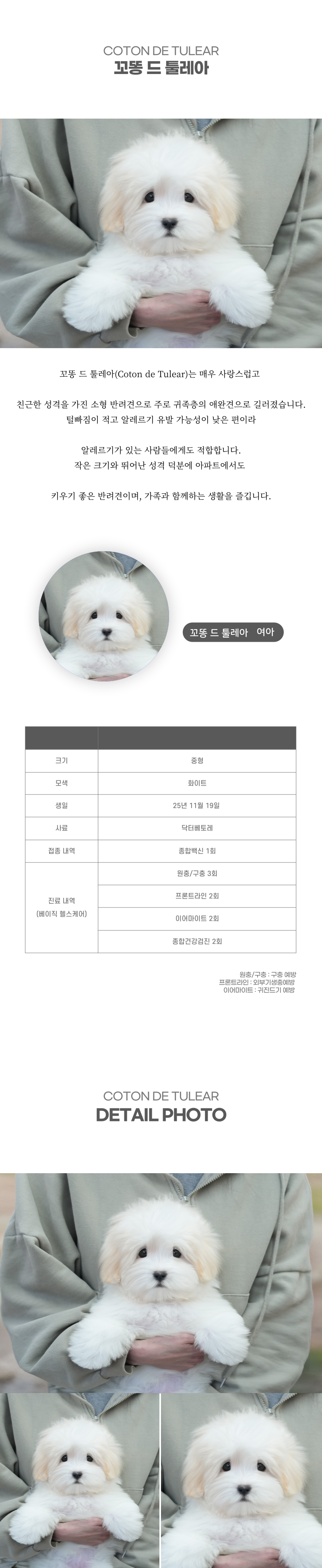 꼬똥_상세이미지_2